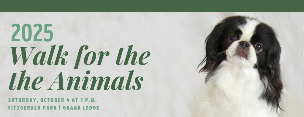2025 Walk for the Animals