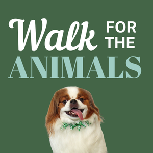 Fundraising Page: Shayne Stevens